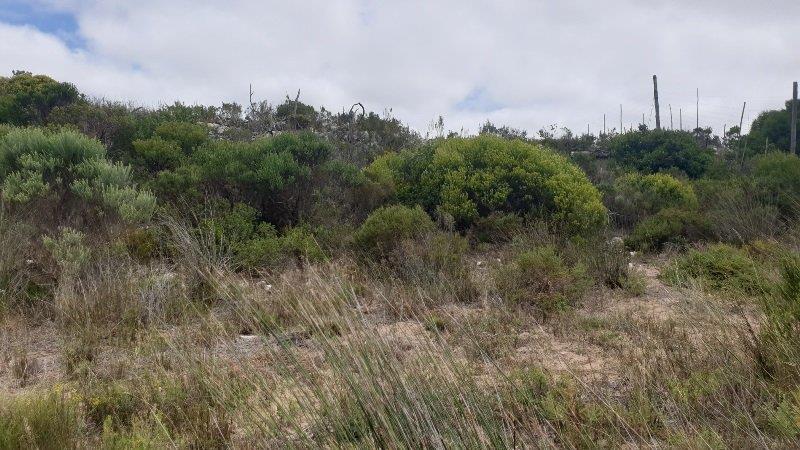 0 Bedroom Property for Sale in Stilbaai Rural Western Cape